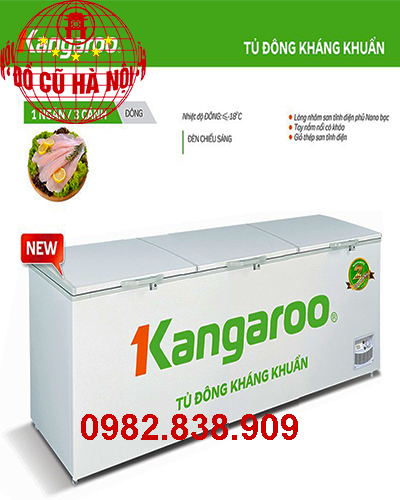 Thông số kỹ thuật Tủ đông Kangaroo KG1400A1 1400 lít