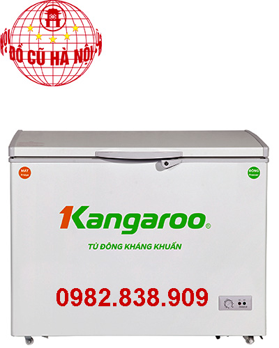 Thông số kỹ thuật Tủ đông Kangaroo KG428C1 428 Lít