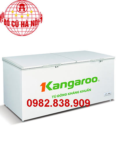 Tủ Đông Kangaroo KG-809C1 809 Lít