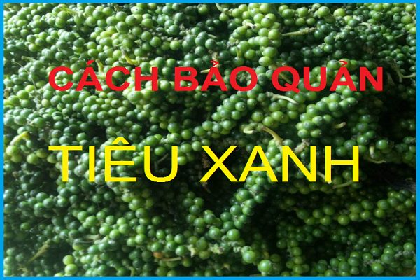 Cách Bảo Quản Tiêu Xanh-0