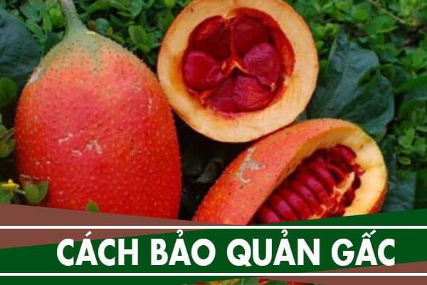 Cách Bảo Quản Gấc-0