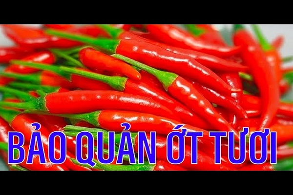 Cách Bảo Quản Ớt Tươi-0