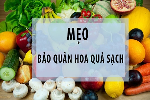 Cách Bảo Quản Hoa Quả Tươi-0