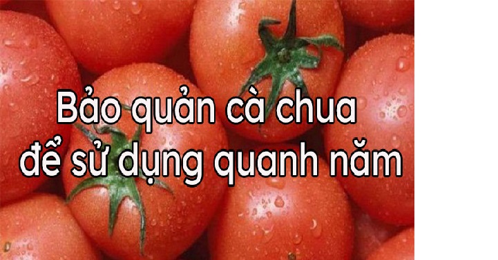 Cách Bảo Quản Cà Chua Trong Ngăn Đá-0