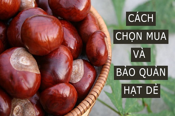 Cách Bảo Quản Hạt Dẻ-01