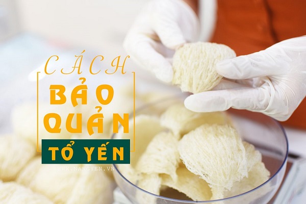 Cách Bảo Quản Tổ Yến-0