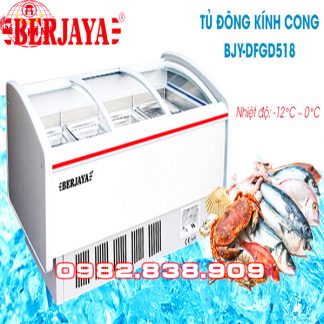 Tủ Đông Berjaya BJY-DFGD-518L Trưng Bày Kính Lùa Cũ-0