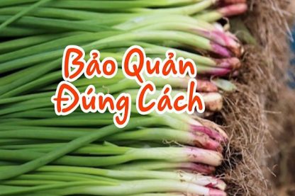 Cách Bảo Quản Hành Lá-0