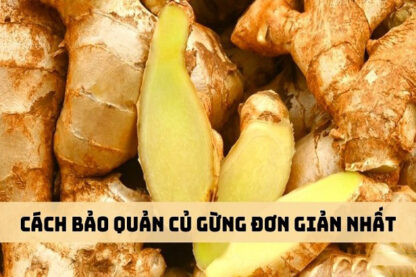 Cách Bảo Quản Gừng-0