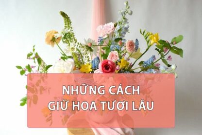 Cách Bảo Quản Hoa Tươi-0