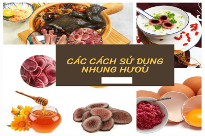 Cách Bảo Quản Nhung Hươu Tươi-0