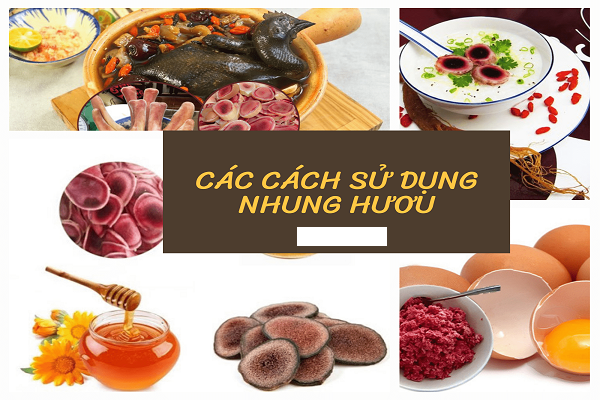 Cách Bảo Quản Nhung Hươu Tươi-0