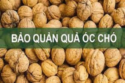 Cách Bảo Quản Quả Óc Chó-0