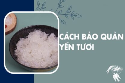 Cách Bảo Quản Yến Tươi-0